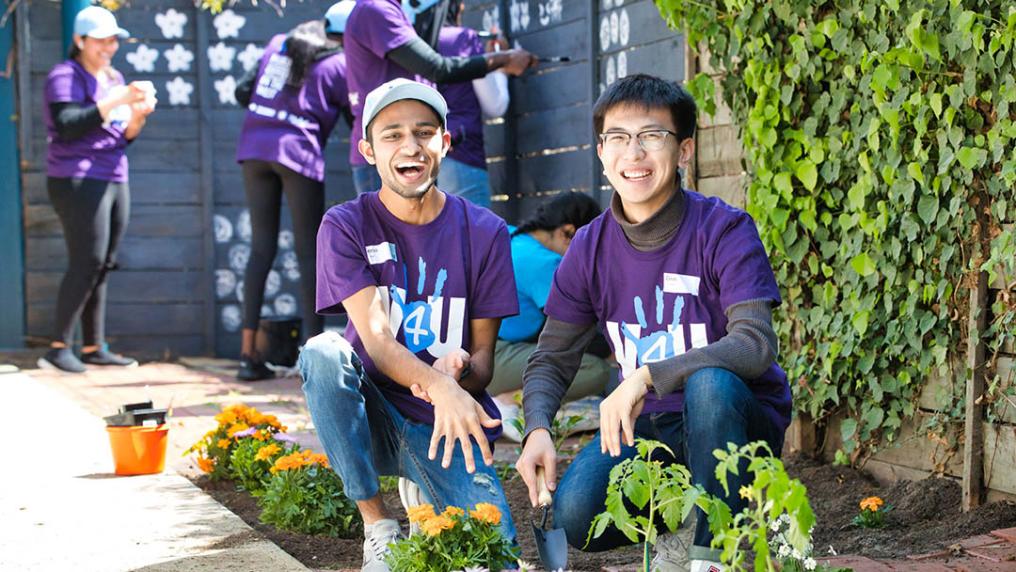 Students volunteering in the garden.