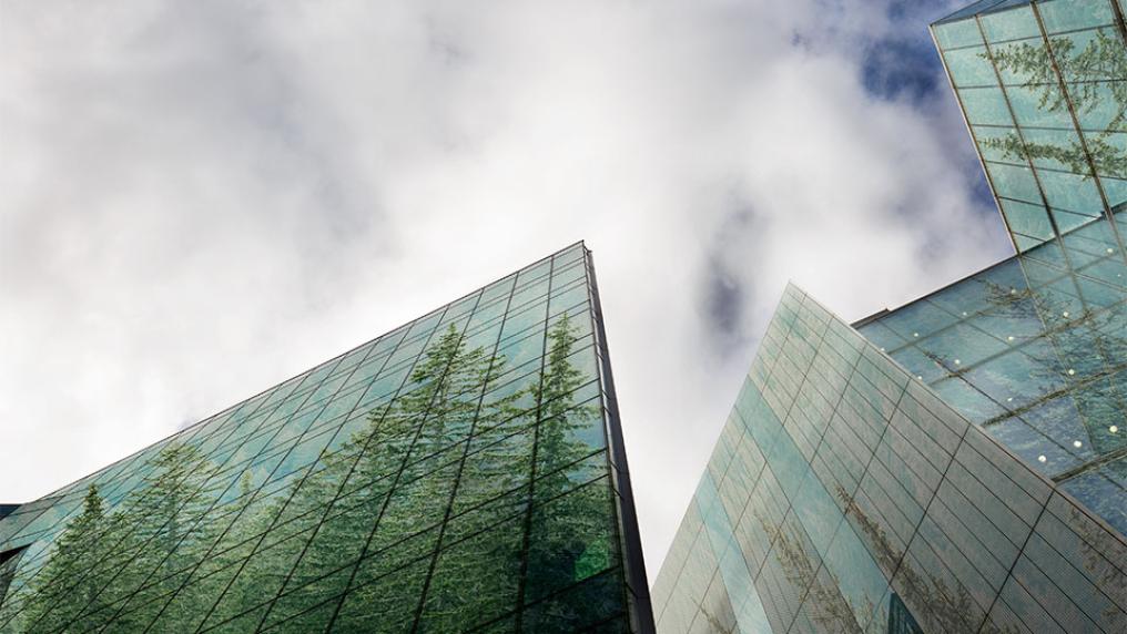 Skyscraper with trees reflected in windows