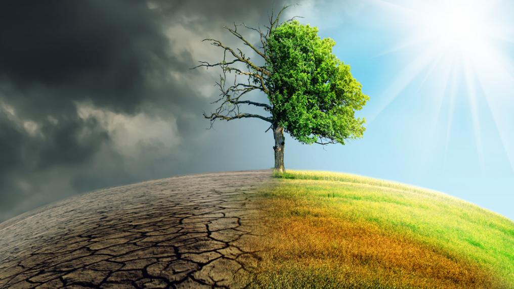 A hill with a tree in the middle. The left-half of the hill is dry, stormy and the tree is dead. The right-half the tree is sunny, grassy and the tree is full of leaves.