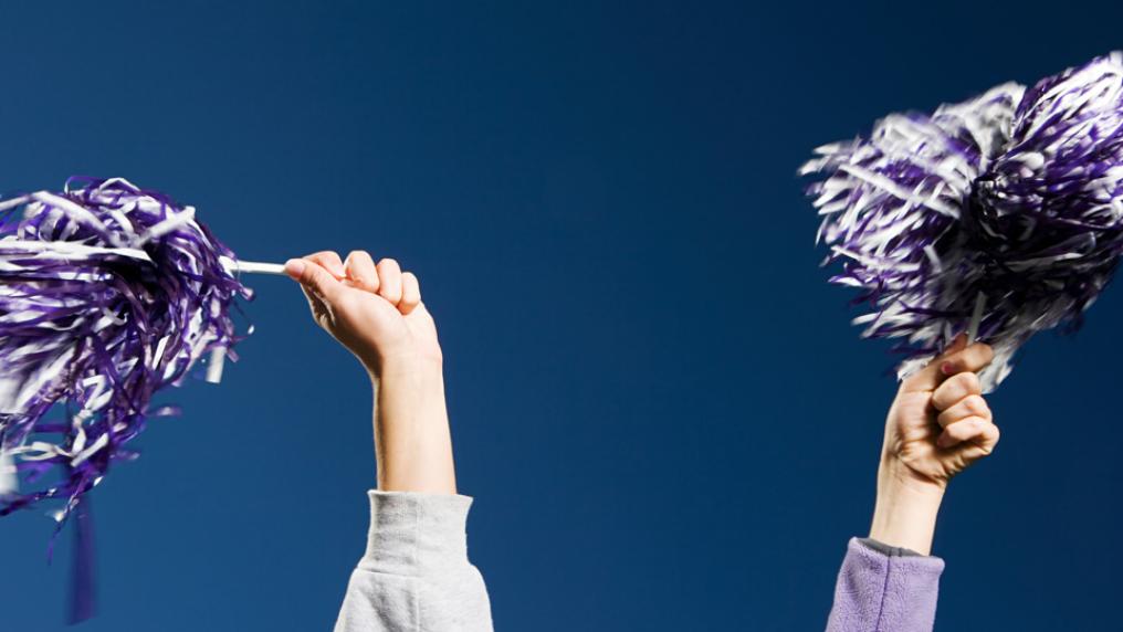 Two hands holding pom poms.