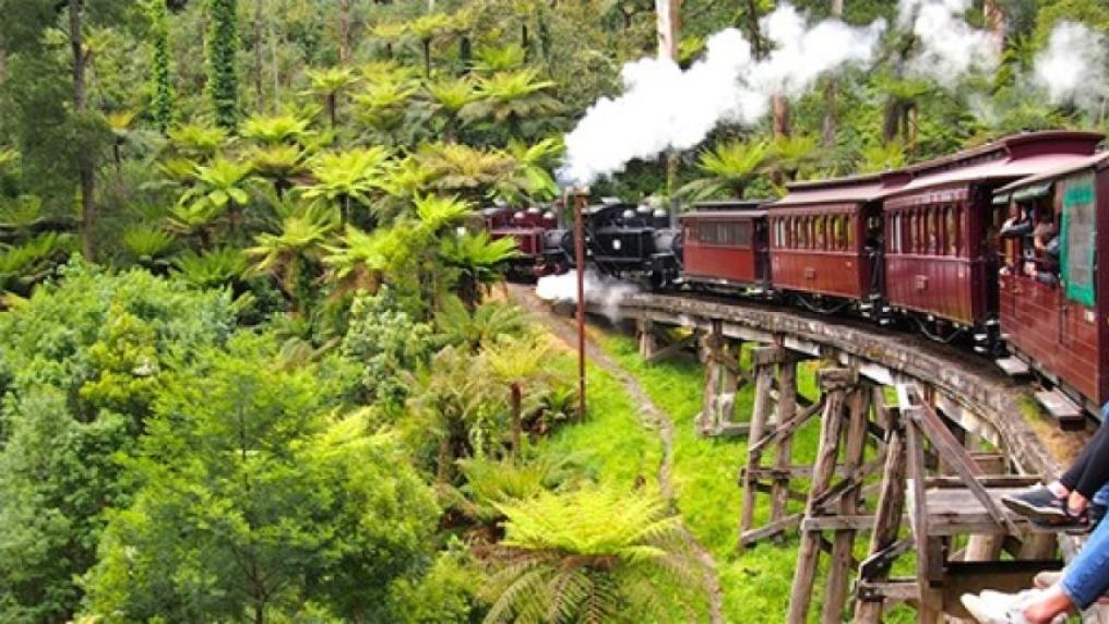 An old-fashioned steam train puffs through a bright, green forest, while passengers take photos out of the window