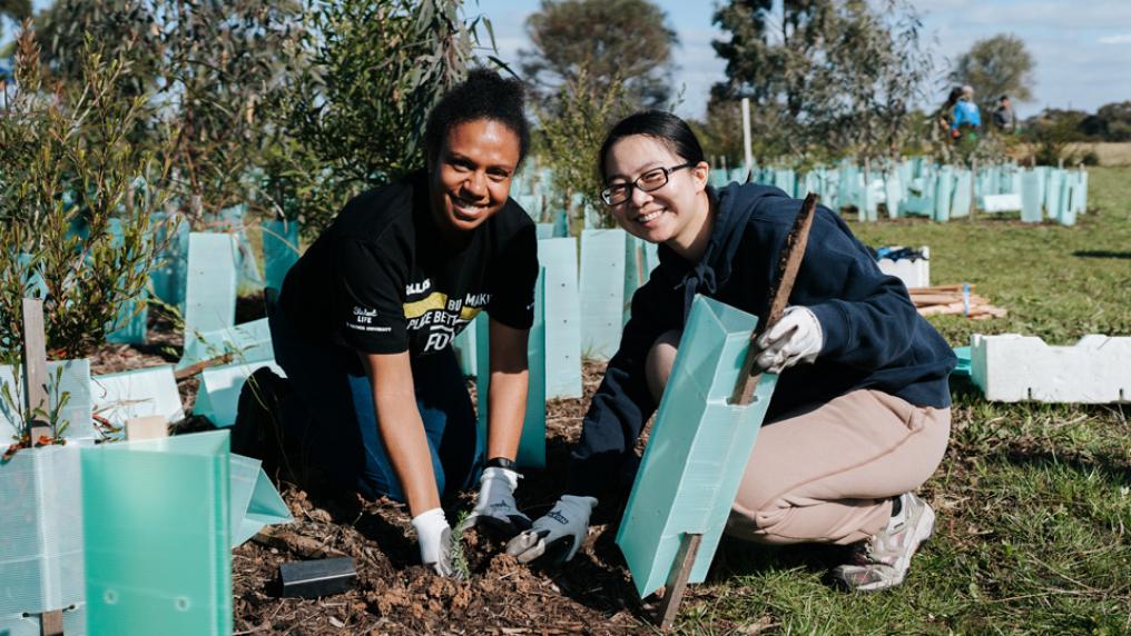 Two people are planting trees at the 2024 VU Community Tree Planting Day