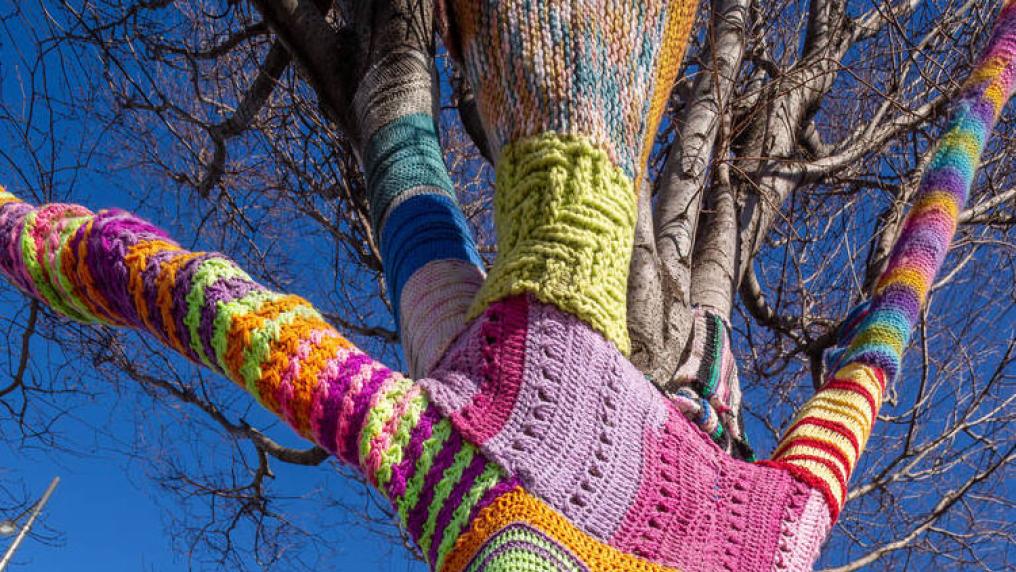 Yarn on a tree at VU's Sunshine campus.