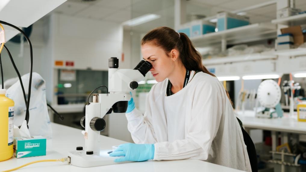 Researcher looking at a microscope in the lab