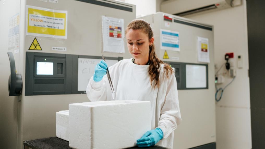 Researcher conducting tests in the lab