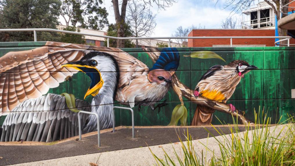 Colourful bird mural on wall