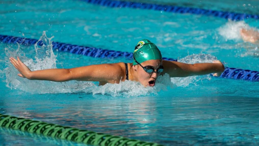 A swimmer races in a butterfly race in a large swimming pool