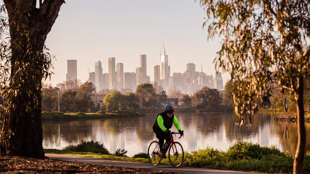 A lone cyclist rides along a riverside track, with large gumtrees. There is a city skyline of large skyscrapers in the background.
