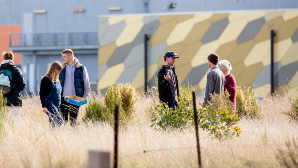 A native grasslands area in front of some modern decorated building walls. Small groups of people are chatting in the sunshine.
